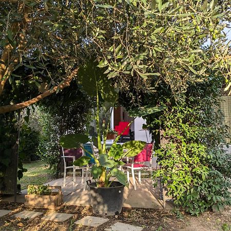 La Maison Sous L'Olivier Villa Morieres-les-Avignon Екстериор снимка