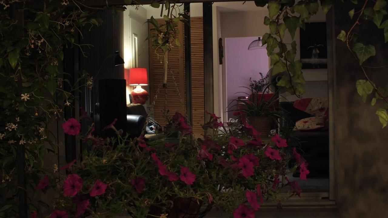 La Maison Sous L'Olivier Villa Morieres-les-Avignon Екстериор снимка