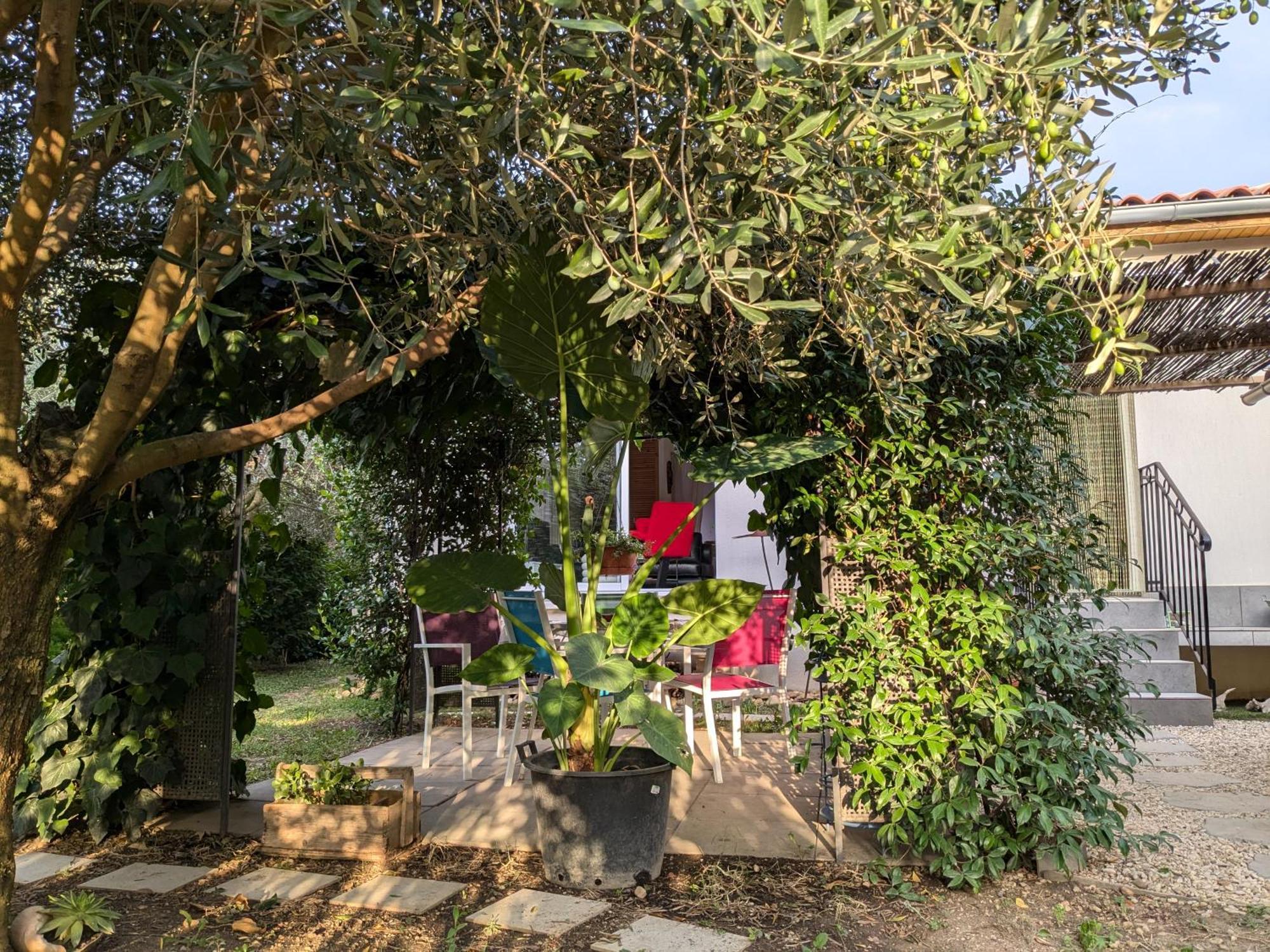 La Maison Sous L'Olivier Villa Morieres-les-Avignon Екстериор снимка
